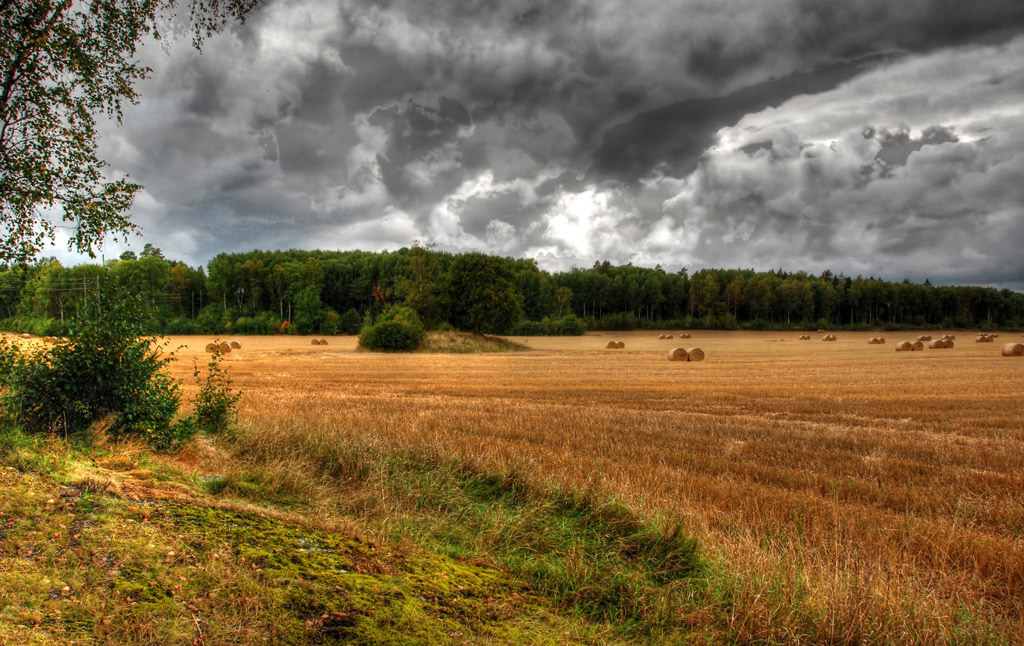 Ovädersmoln-på-Hagby-2007