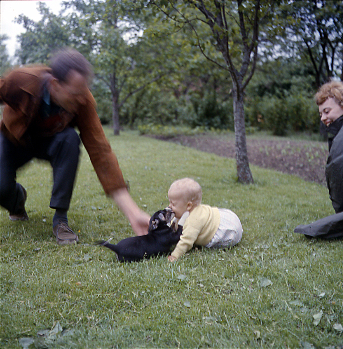 Peter och hundvalp  i Västergötland 1962