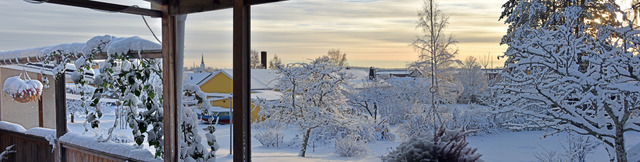 Panorama över min vinterträdgård 12 december 2016