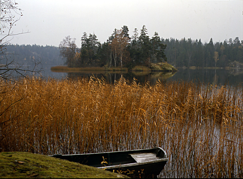 Höst vid sjön Hersen 1987