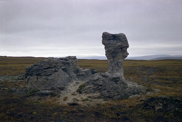 En Rauk på Padjelantas högplatå 1985